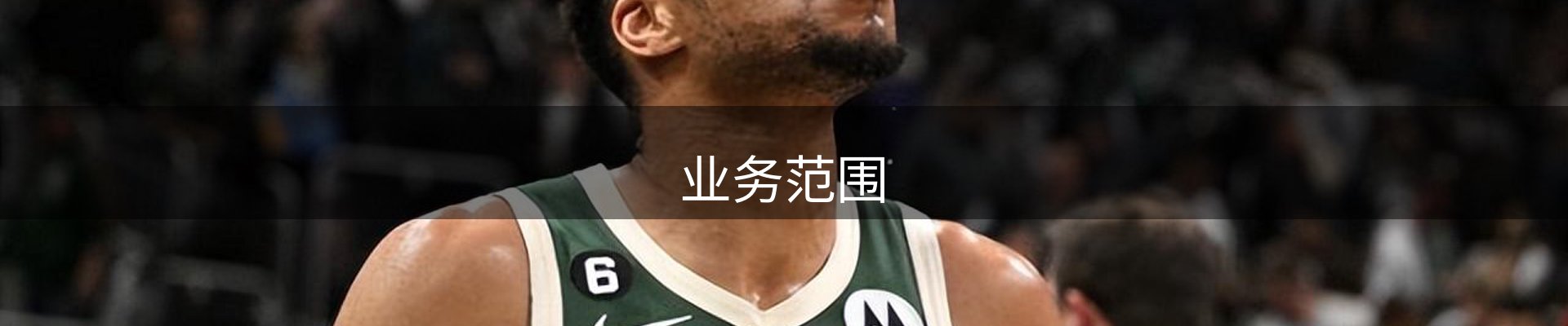 业务范围